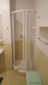 a shower with a glass door in a bathroom at AD Šafrán č. 25 in Donovaly +33 photos