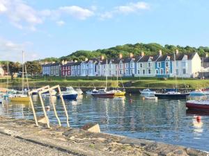 a group of boats docked in a harbor with houses at Ffyllon Fawr in Henfynyw Upper