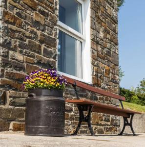 a bench and a flower pot next to a building at Ffyllon Fawr in Henfynyw Upper