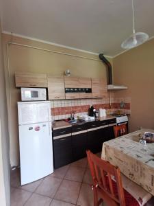 a kitchen with a white refrigerator and a table at Kis Rigó vendégház in Salgótarján