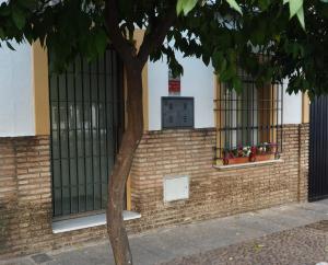 a brick wall with two windows and a tree at CALLE ABEJAR,PLAZA in Córdoba