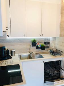 Kuchyň nebo kuchyňský kout v ubytování Charta Appartement
