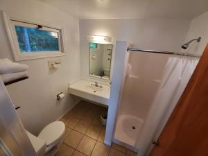 uma casa de banho com um WC, um lavatório e um chuveiro em Lake View Motel em Cooperstown