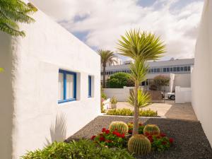 a white building with palm trees and plants at Timfay in Corralejo