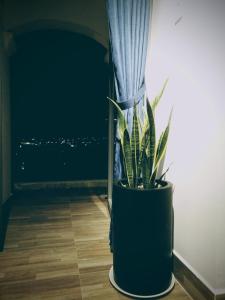 Fotografie z fotogalerie ubytování Be.Ho DaLat - Attic v destinaci Da Lat