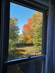 Fotografie z fotogalerie ubytování By The River B&B v destinaci Fredericton