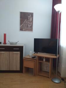un soggiorno con TV su supporto e tavolo di Apartman Nadja i Djole a Soko Banja