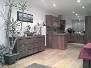 una gran cocina con armarios de madera y plantas. en Rare à Granville! Appartement avec terrasse! Vue mer!, en Granville