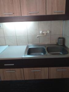 una cucina con lavello in acciaio inossidabile e mobili in legno di Apartman Nadja i Djole a Soko Banja