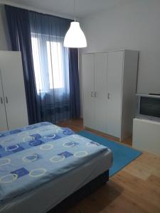 una camera con letto blu e televisore di Apartman Nadja i Djole a Soko Banja