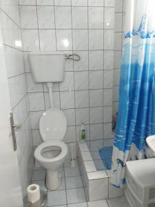 e bagno con servizi igienici e tenda doccia blu. di Apartman Nadja i Djole a Soko Banja