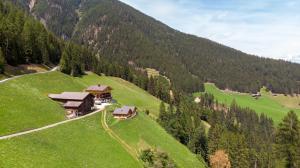 Táj Show holiday homes közelében