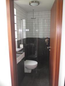 a bathroom with a toilet and a sink and a shower at Ártún Apartment in Höfn