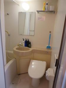 a small bathroom with a toilet and a sink at Comfort CUBE PHOENIX S Kumamoto in Kumamoto