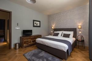 um quarto com uma cama grande e uma televisão em Areal Botanika em Unhošť mais 37 fotografias