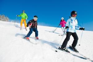 Skifahren in der Ferienwohnung oder in der Nähe