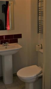 a bathroom with a white toilet and a sink at Old Rose and Crown Hotel Birmingham in Rubery