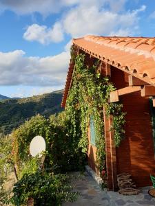 Fotografie z fotogalerie ubytování Alagonia Country Homes v destinaci Alagonía + 69 fotografií