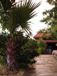 Fotografie z fotogalerie ubytování Alagonia Country Homes v destinaci Alagonía