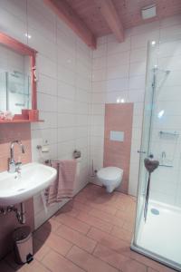 a bathroom with a toilet and a sink and a shower at Landambiente Hage in Halbemond