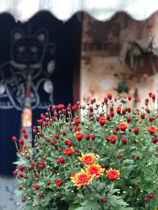 Jayden NAXI Healing Lodge臣安纳西疗愈小院 - Namaste外面的花园
