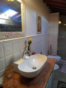 uma casa de banho com um lavatório branco e um WC. em Il Nido della Formica em Colonnata