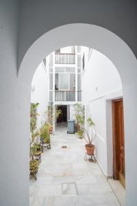 une arche dans un couloir avec des plantes en pot dans l'établissement Apartment Cadiz´s Angel, à Cadix