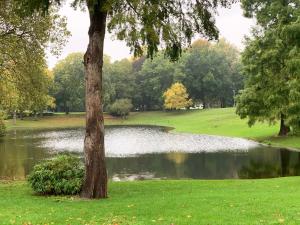 un étang dans un parc avec un arbre au premier plan dans l'établissement Ferienwohnung am Geroweiher Mönchengladbach, à Mönchengladbach