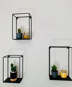 une paire d'étagères en verre avec des plantes sur elles dans l'établissement Dimora “A Picciridda”, à Catane