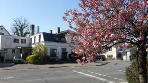Une rue avec un arbre avec des fleurs roses dans l'établissement FEWO Gerdi und Hanne, à Schenefeld