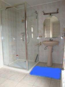 La salle de bains est pourvue d'une douche et d'un lavabo. dans l'établissement Le Clos des Hirondelles, à Petit Baisieux