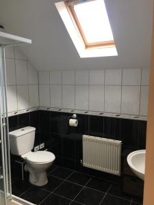 a bathroom with a toilet and a sink and a skylight at Holiday Home Waterville in Waterville
