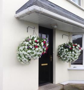 two flower baskets on the side of a house at Holiday Home Waterville in Waterville
