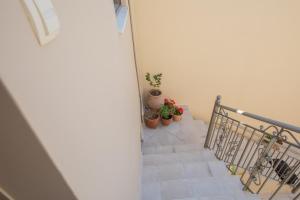a staircase with potted plants on the side of it at Aura central apartments in Argostoli