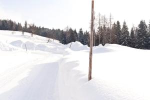 Hotel Alpenkrone v zimě