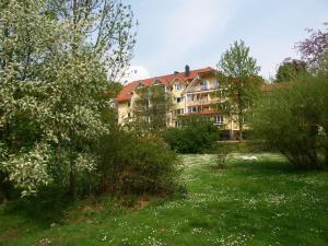 Zahrada ubytování Hotel zum Engel