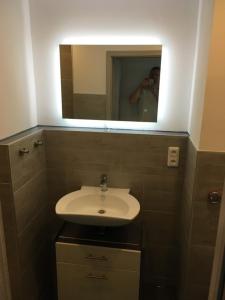 a man taking a picture of a bathroom with a sink at Ferienwohnung Reinhold im Predigtstuhl Resort in Sankt Englmar