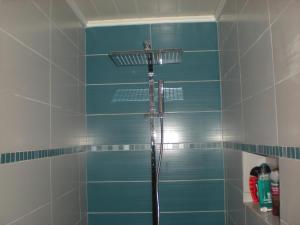 prysznic w łazience wyłożonej niebieskimi kafelkami w obiekcie chalet volcan w mieście La Plaine des Cafres