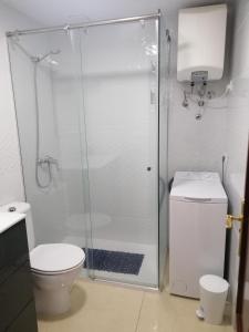 アガエテにあるLa Palmita House Flatのバスルーム(トイレ、ガラス張りのシャワー付)
