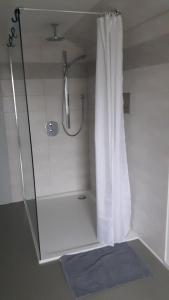 eine Dusche mit Glastür und Duschvorhang in der Unterkunft Ferienwohnung an der Südheide 80 qm max 4 Personen in Dedelstorf