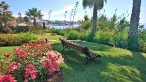 Ogród w obiekcie VILLA BAHIA AZUL