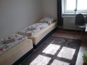 two beds in a room with a window and a rug at Ferienwohnung Paul in Bellin