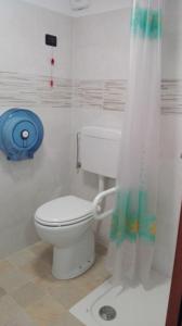 a bathroom with a toilet and a shower curtain at PHOENIX HOSTEL in Valprato Soana