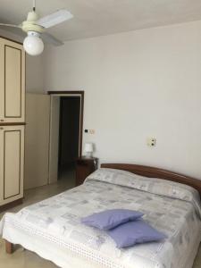 um quarto com uma cama grande e almofadas roxas em LA CASA DI CLARA ombrellone con 2 lettini al Lido San Giuliano gratis e parcheggio privato gratis em Rimini