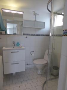 a bathroom with a toilet and a sink and a shower at Villa Kulle in Virserum