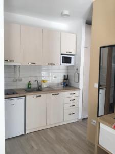 A kitchen or kitchenette at MAGO APARTMENTS