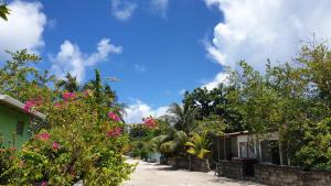 Taman di luar Asaa View Maldives