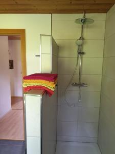 Koupelna v ubytování Haus Silberberg + 10 fotografií