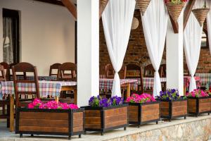 Gallery image of Apartments Bashoski in Ohrid