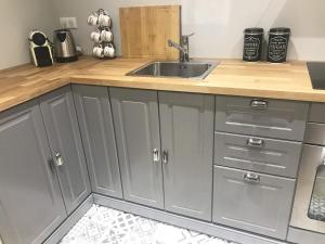 Una cocina con gabinetes grises y un fregadero. en Le Secret de Louise, en Épernay
